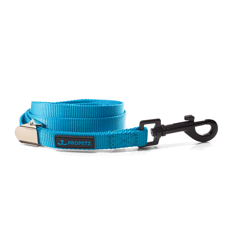 Guia-para-Cachorro-Nylon-45cm-Azul-Propetz