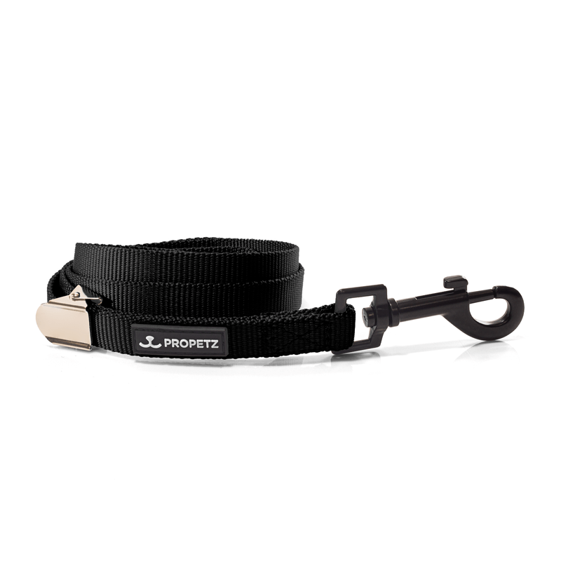 Guia-para-Cachorro-Nylon-45cm-Preta-Propetz