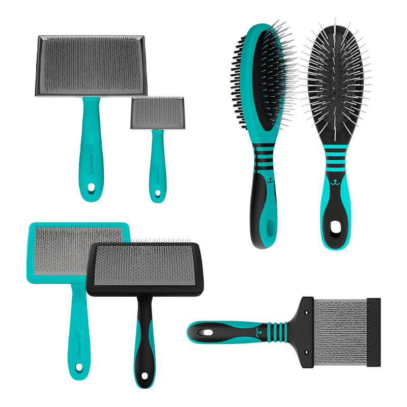 KIT-ESCOVACAO